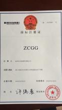 溫州市中誠流體設(shè)備科技股份有限公司,商標(biāo)注冊(cè)證